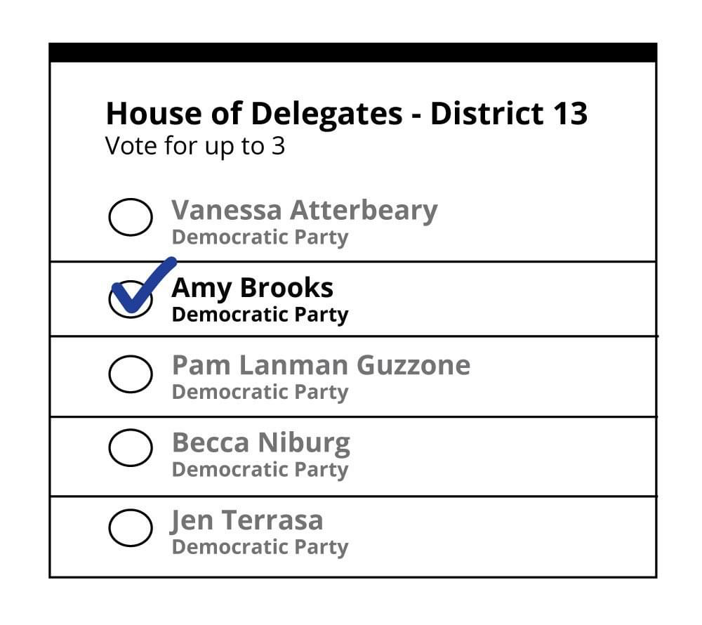 Vote for Amy Brooks Democrat State Delegate