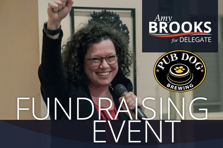 Amy Brooks for Delegate Fundraiser at PubDog